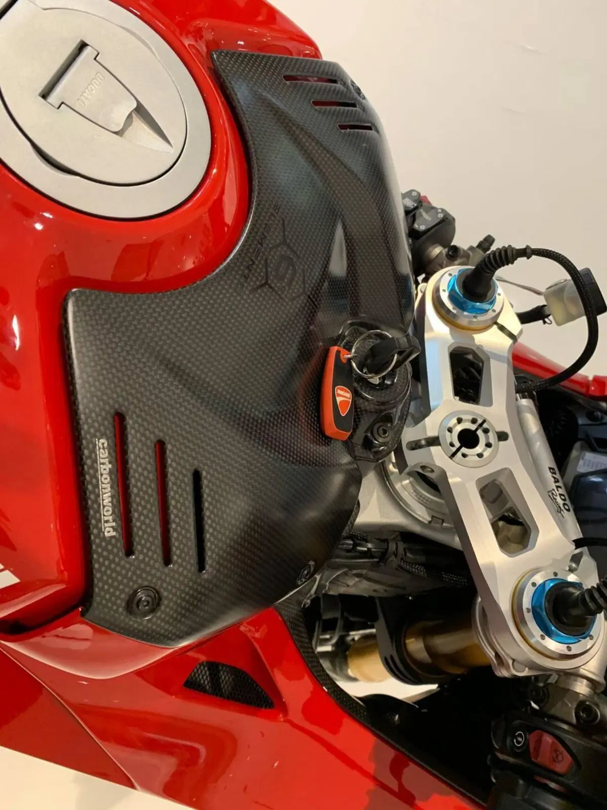 Ducati Panigale V4 S 1100 (2018 - 19) (3)