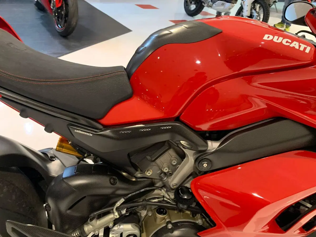 Ducati Panigale V4 S 1100 (2018 - 19) (5)