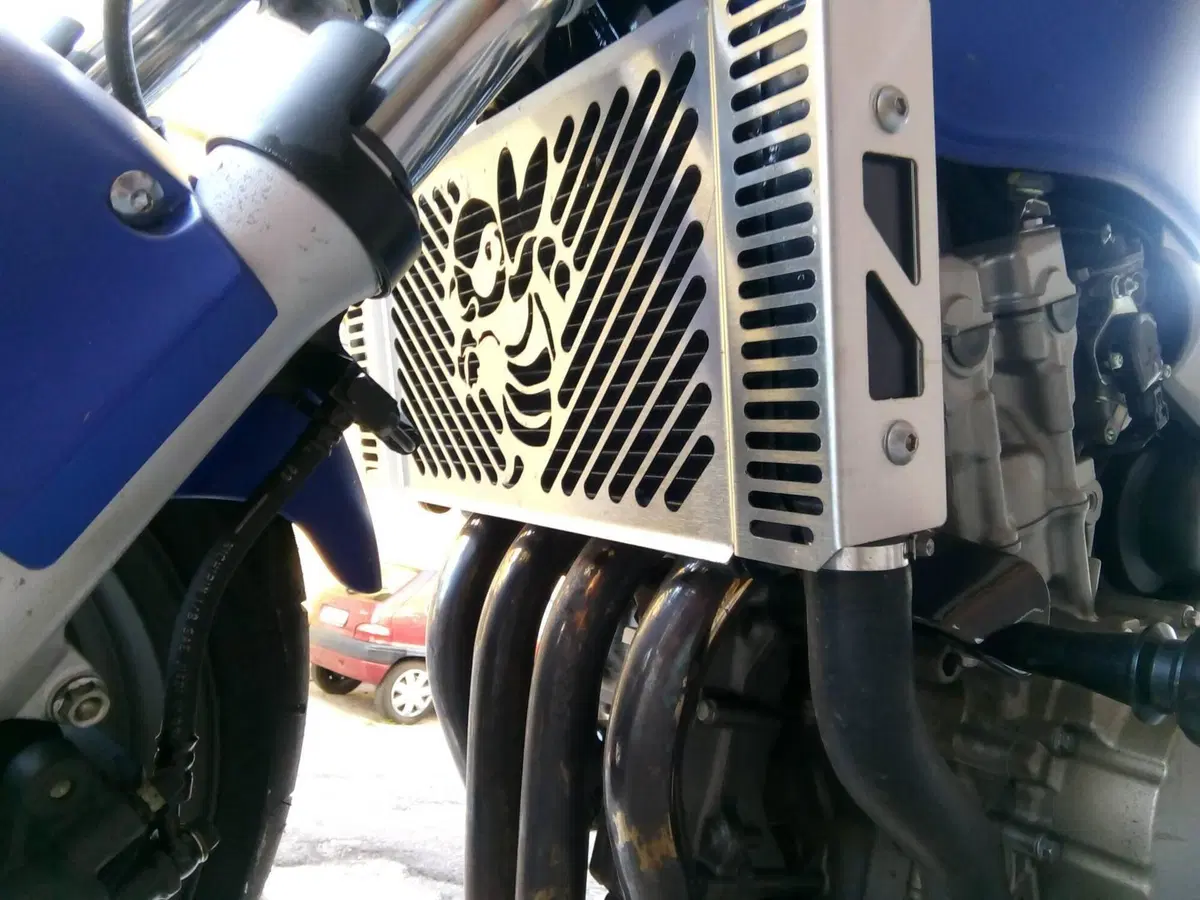 Honda Hornet 600 (2003 - 04) (5)