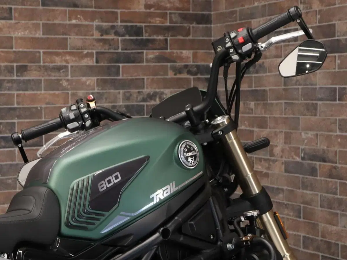 Benelli Leoncino 800 Trail (2022 - 26) (9)