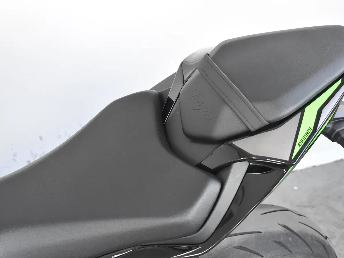 Kawasaki Ninja 636 ZX-6R (2024 - 26) (19)