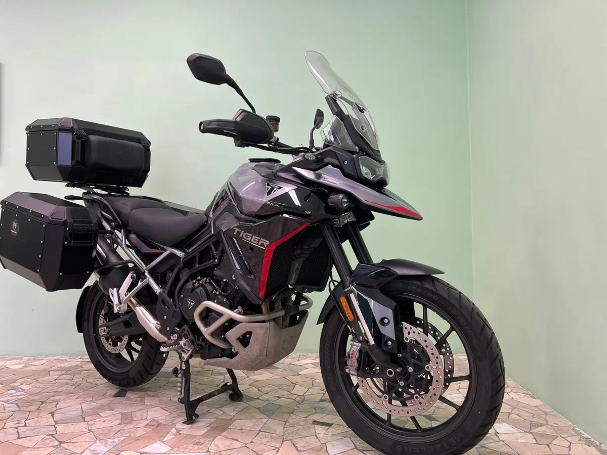 Triumph Tiger 900 GT Pro (2024 - 26) (6)