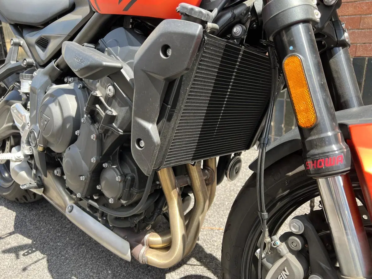 Triumph Trident 660 (2021 - 24) (10)