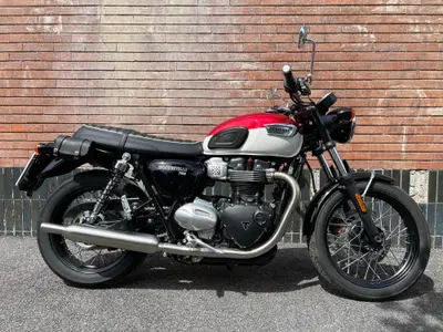 Triumph Bonneville T100 (2021 - 25) usata