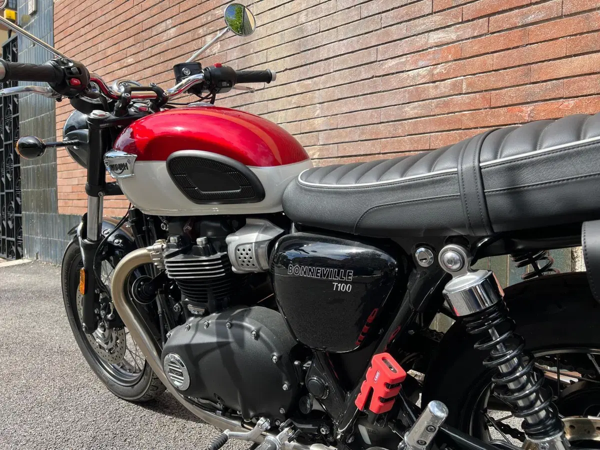 Triumph Bonneville T100 (2021 - 25) (14)