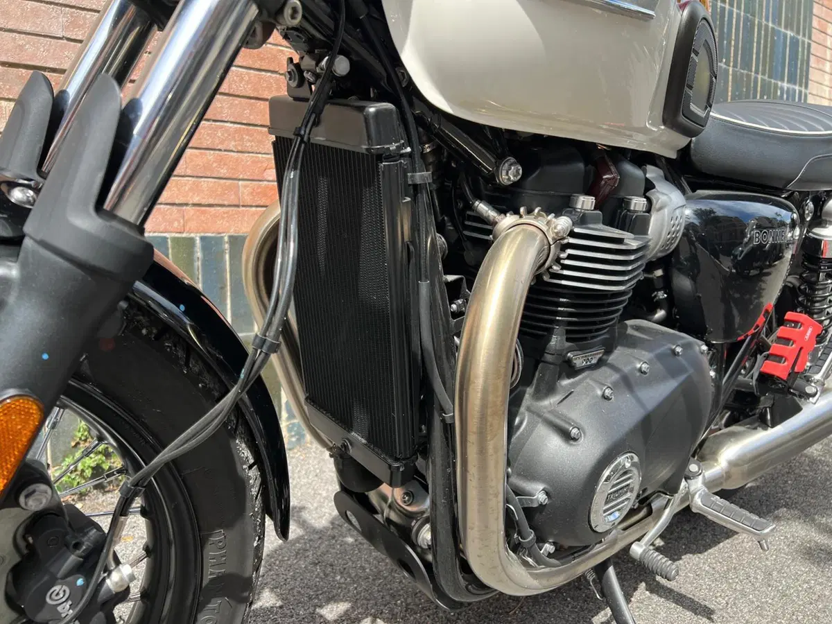 Triumph Bonneville T100 (2021 - 25) (16)
