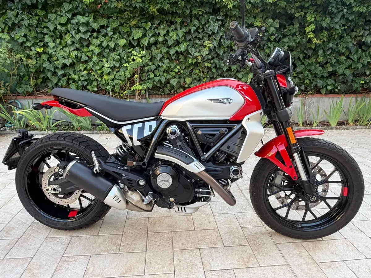 Ducati Scrambler 800 Icon (2023 - 24)