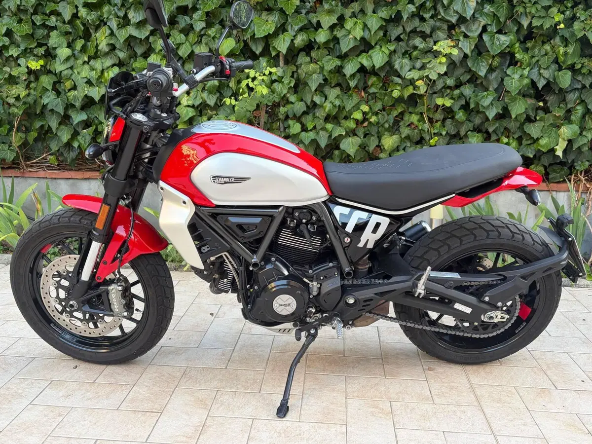 Ducati Scrambler 800 Icon (2023 - 24) (3)