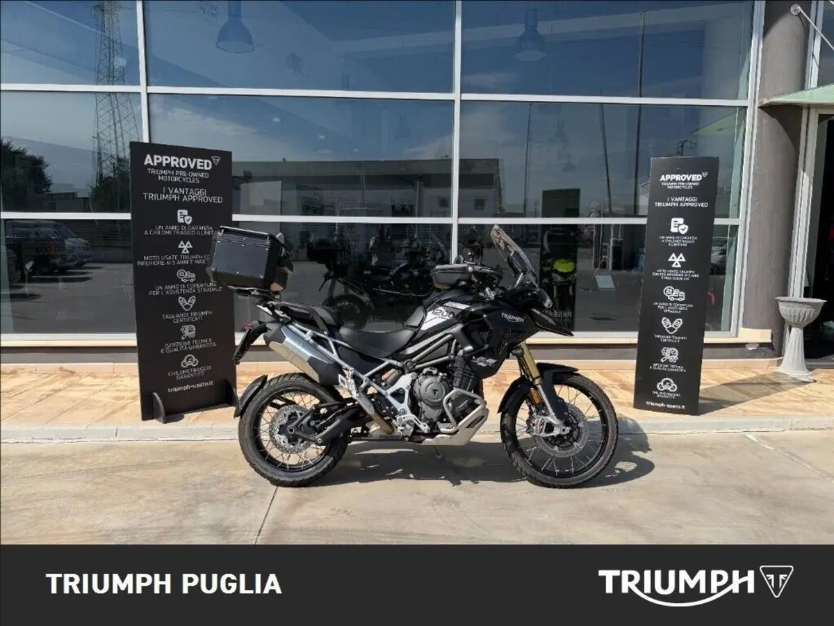 Triumph Tiger 1200 Rally Pro (2022 - 23) (6)