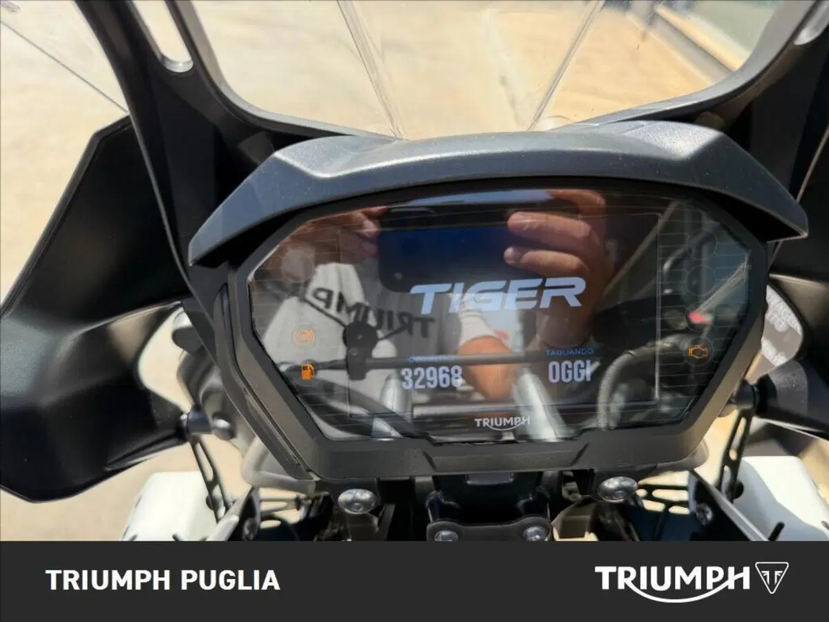 Triumph Tiger 800 XCa (2015 - 17) (2)