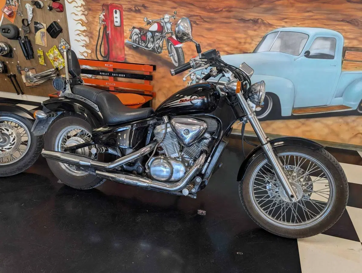 Honda VT 600 C Shadow (1989 - 02) (5)