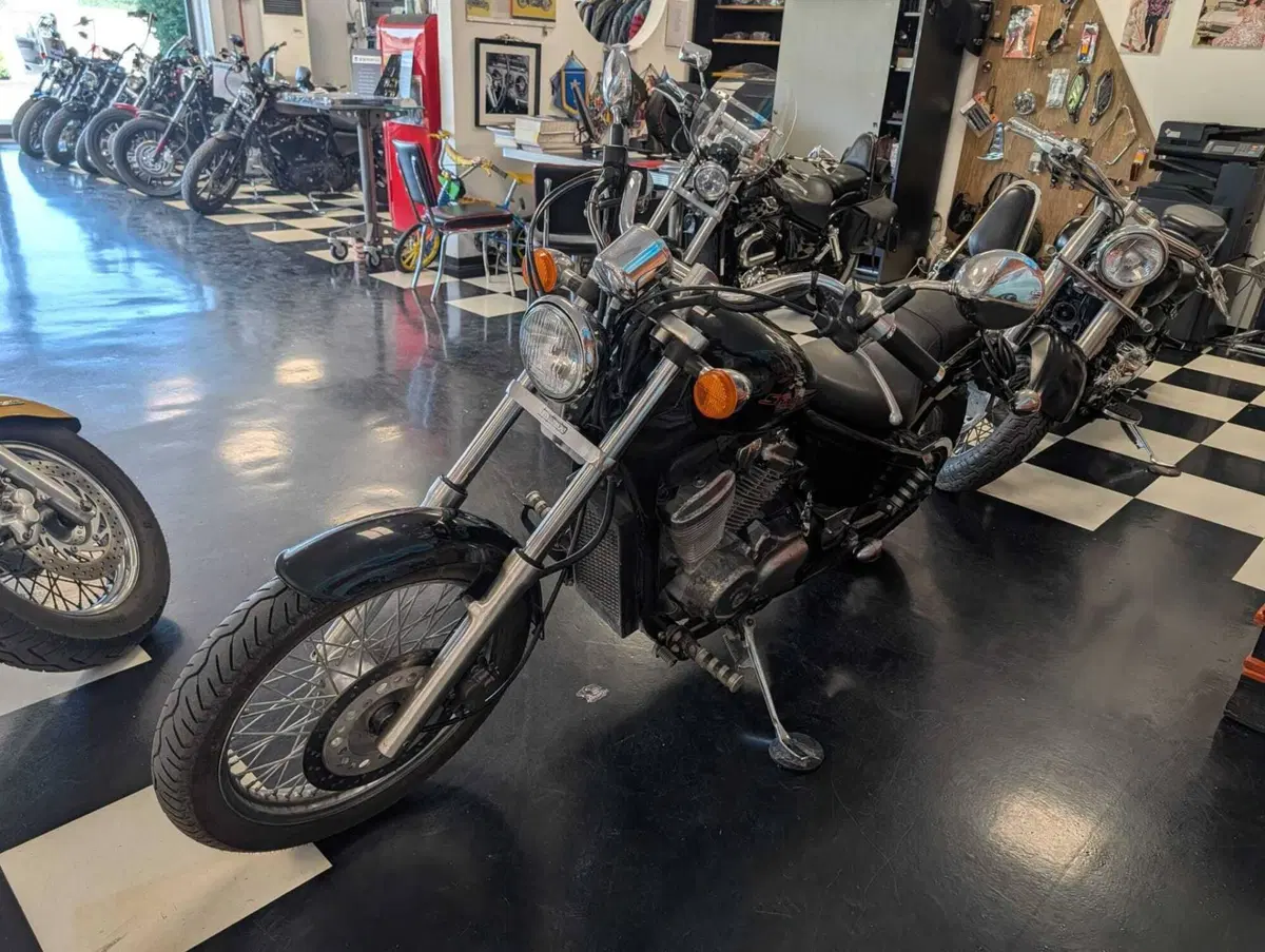Honda VT 600 C Shadow (1989 - 02) (6)