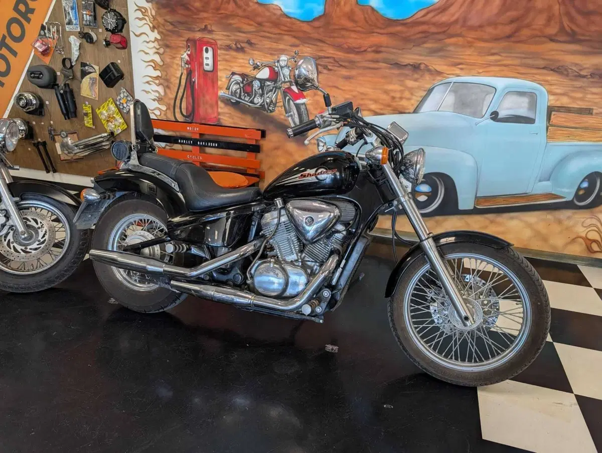 Honda VT 600 C Shadow (1989 - 02) (7)