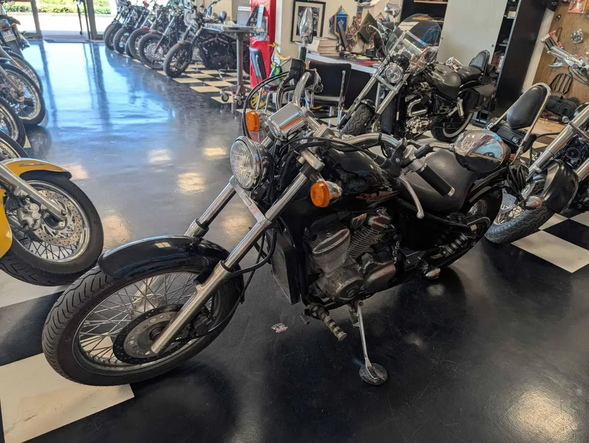 Honda VT 600 C Shadow (1989 - 02) (8)