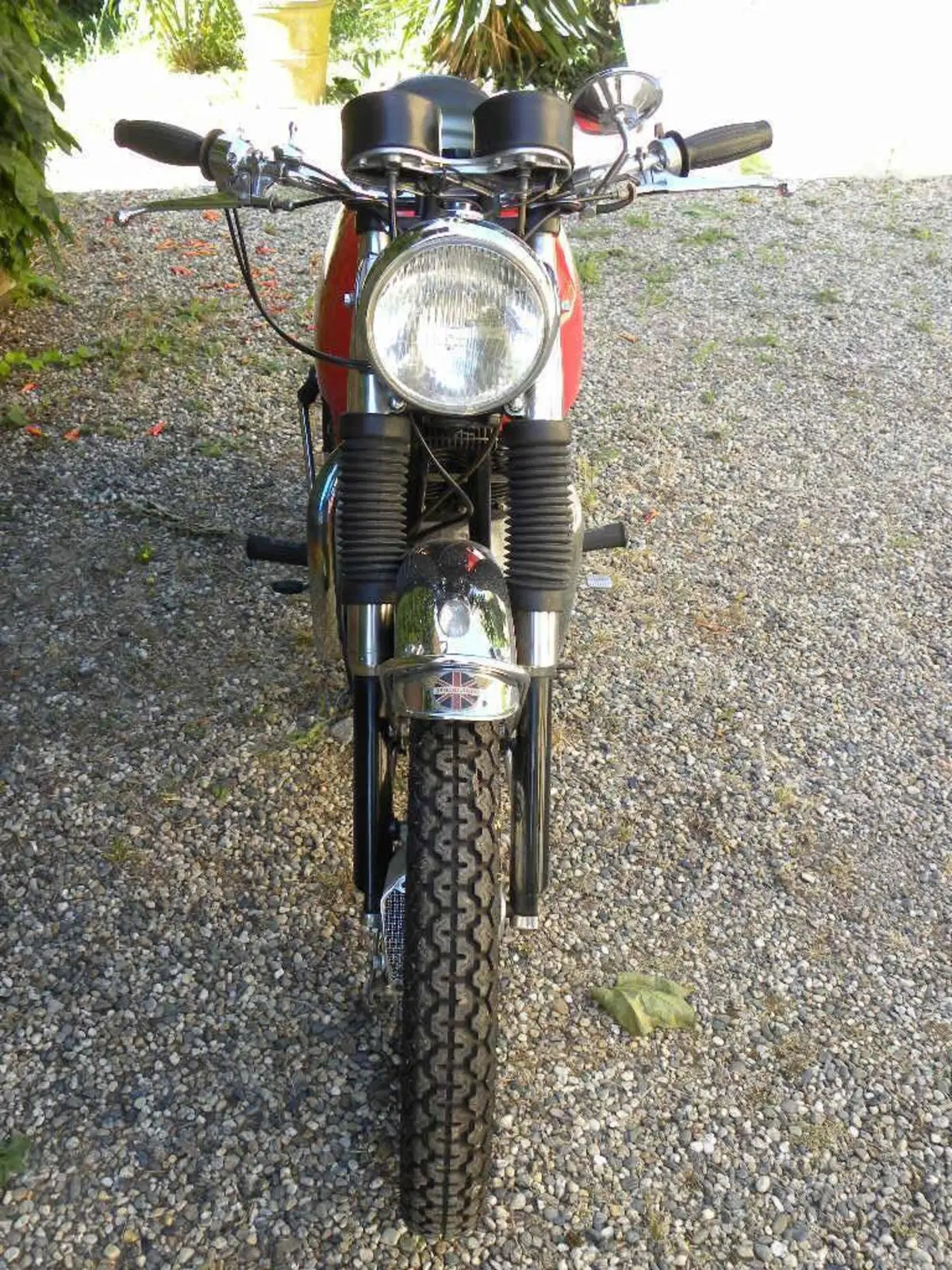 Bsa Spitfire 650 (16)
