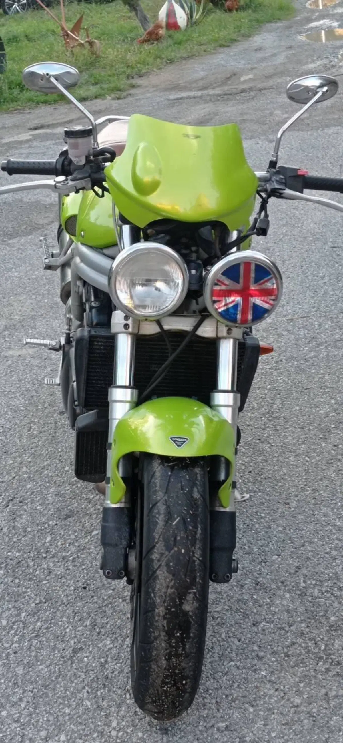 Triumph Speed Triple 955 (1998 - 01) (5)