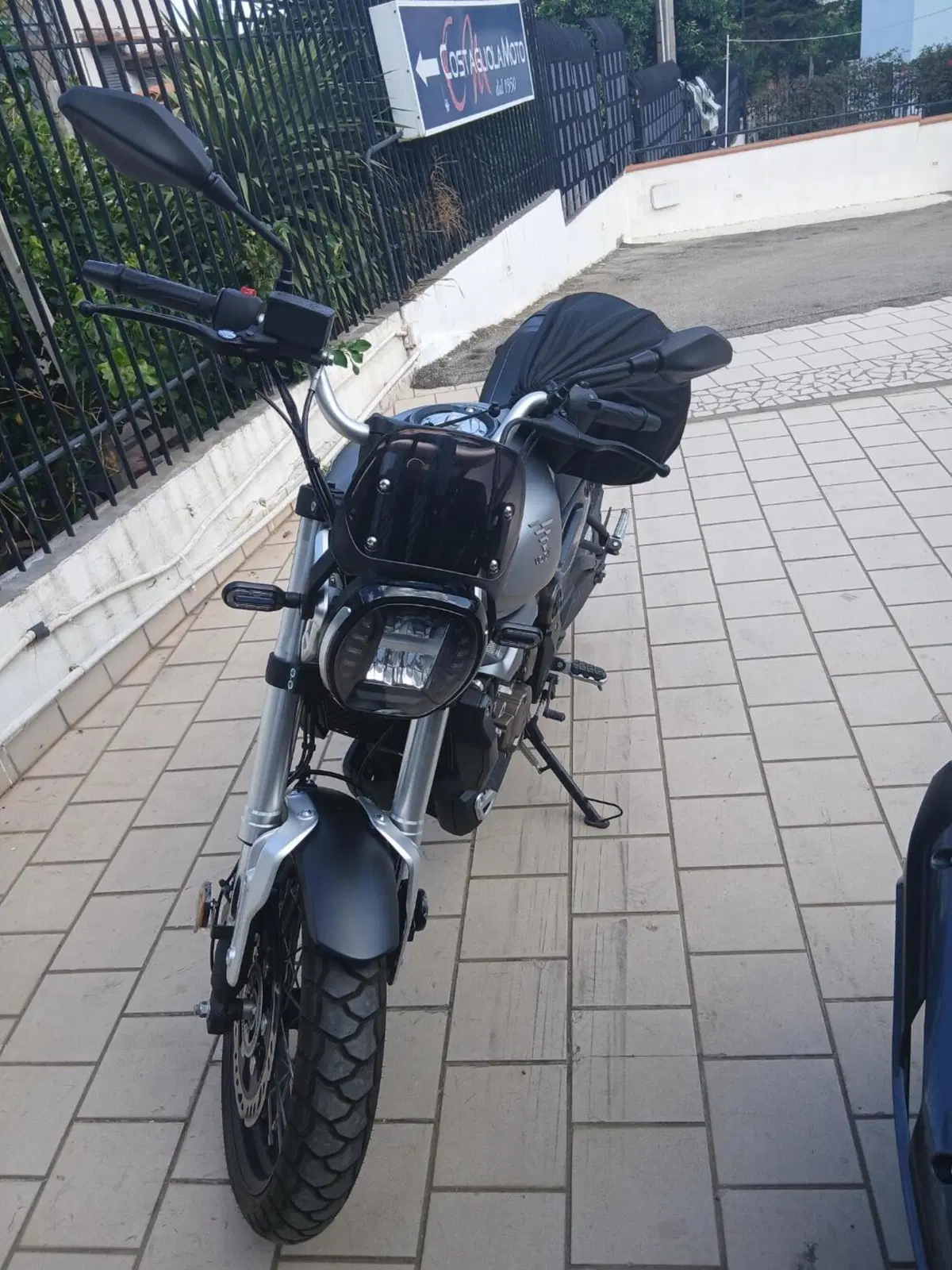 Voge Trofeo 300ACX Scrambler (2021 - 26) (2)