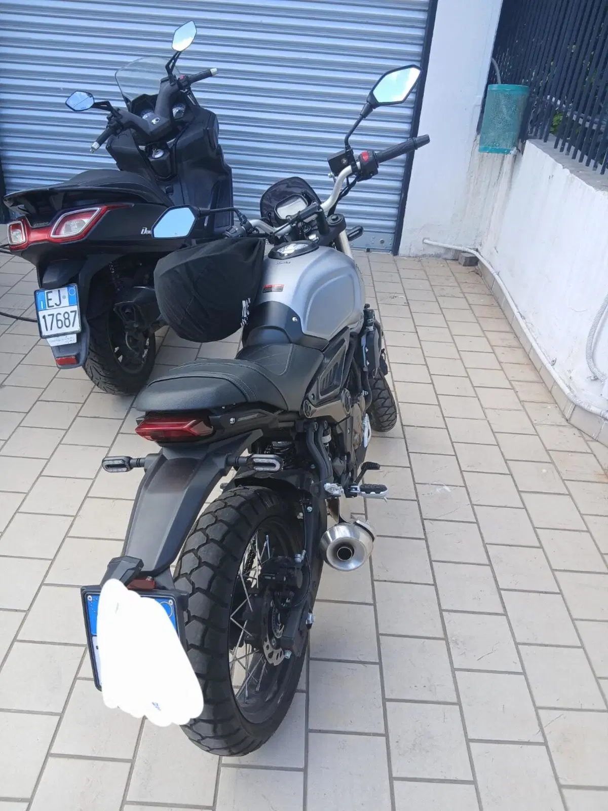 Voge Trofeo 300ACX Scrambler (2021 - 26) (3)