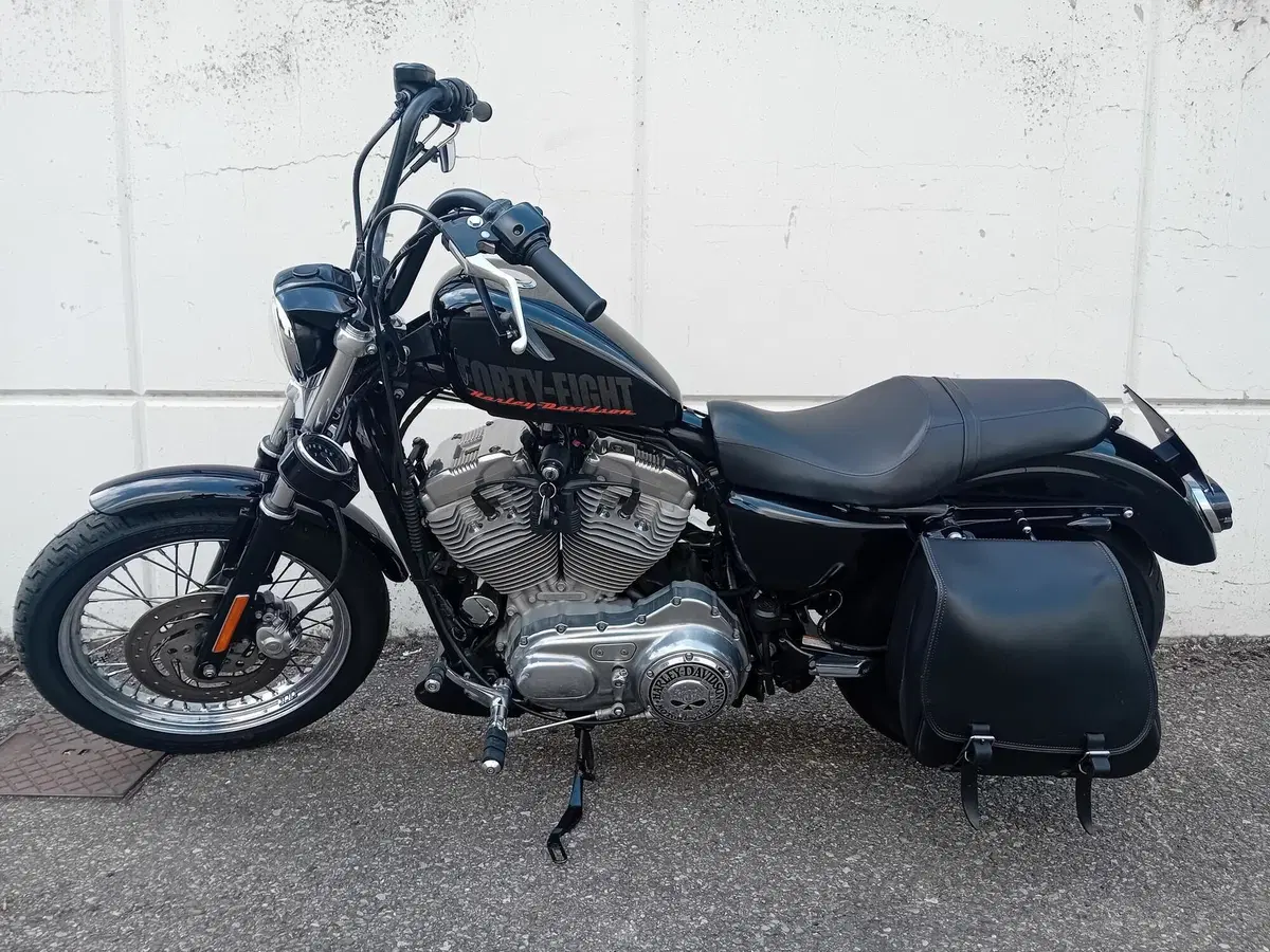 Harley-Davidson 883 Low (2006 - 07) - XL 883L (2)