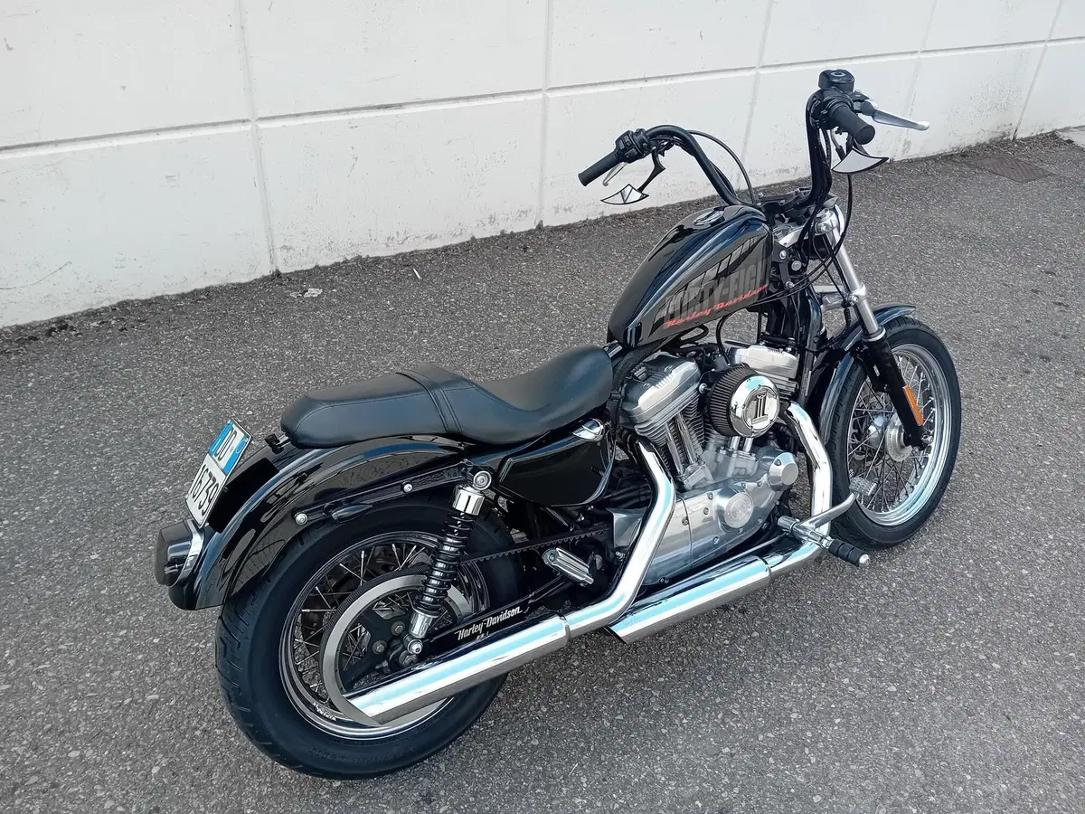 Harley-Davidson 883 Low (2006 - 07) - XL 883L (3)