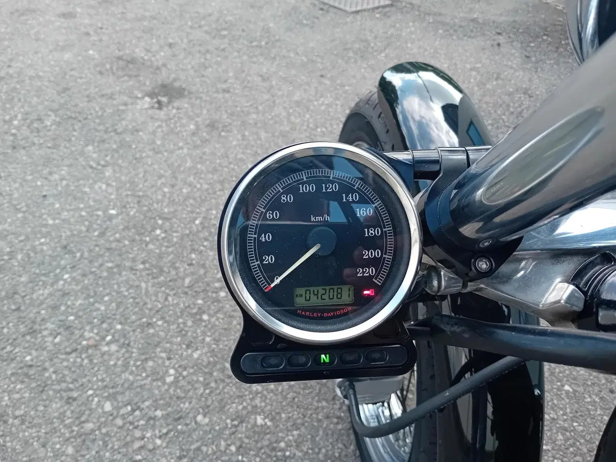 Harley-Davidson 883 Low (2006 - 07) - XL 883L (5)