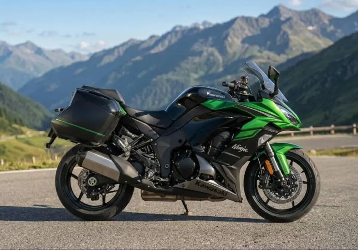 Kawasaki Ninja 1000 SX Tourer (2021 - 24) (2)