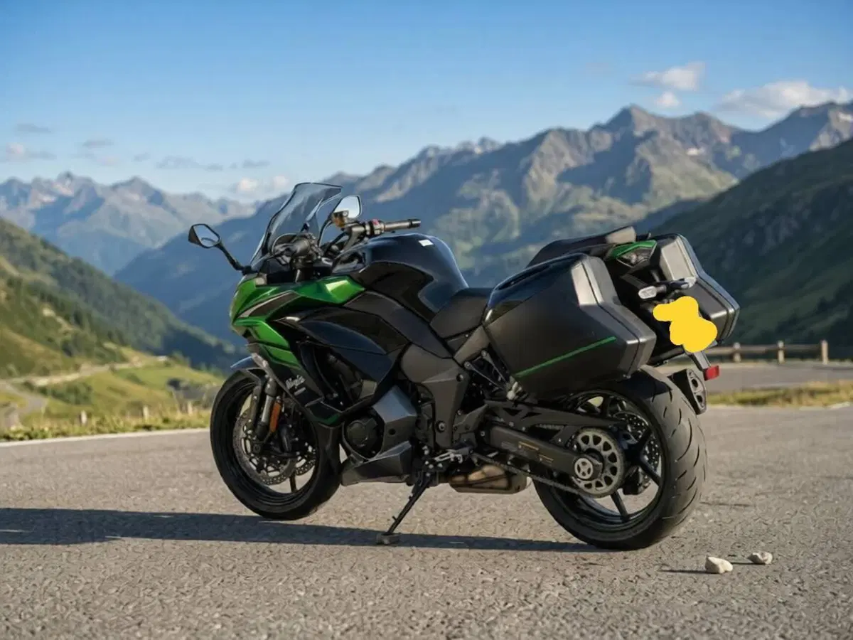Kawasaki Ninja 1000 SX Tourer (2021 - 24) (3)
