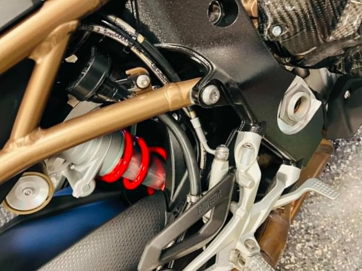 Bmw S 1000 RR (2019 - 20) (9)