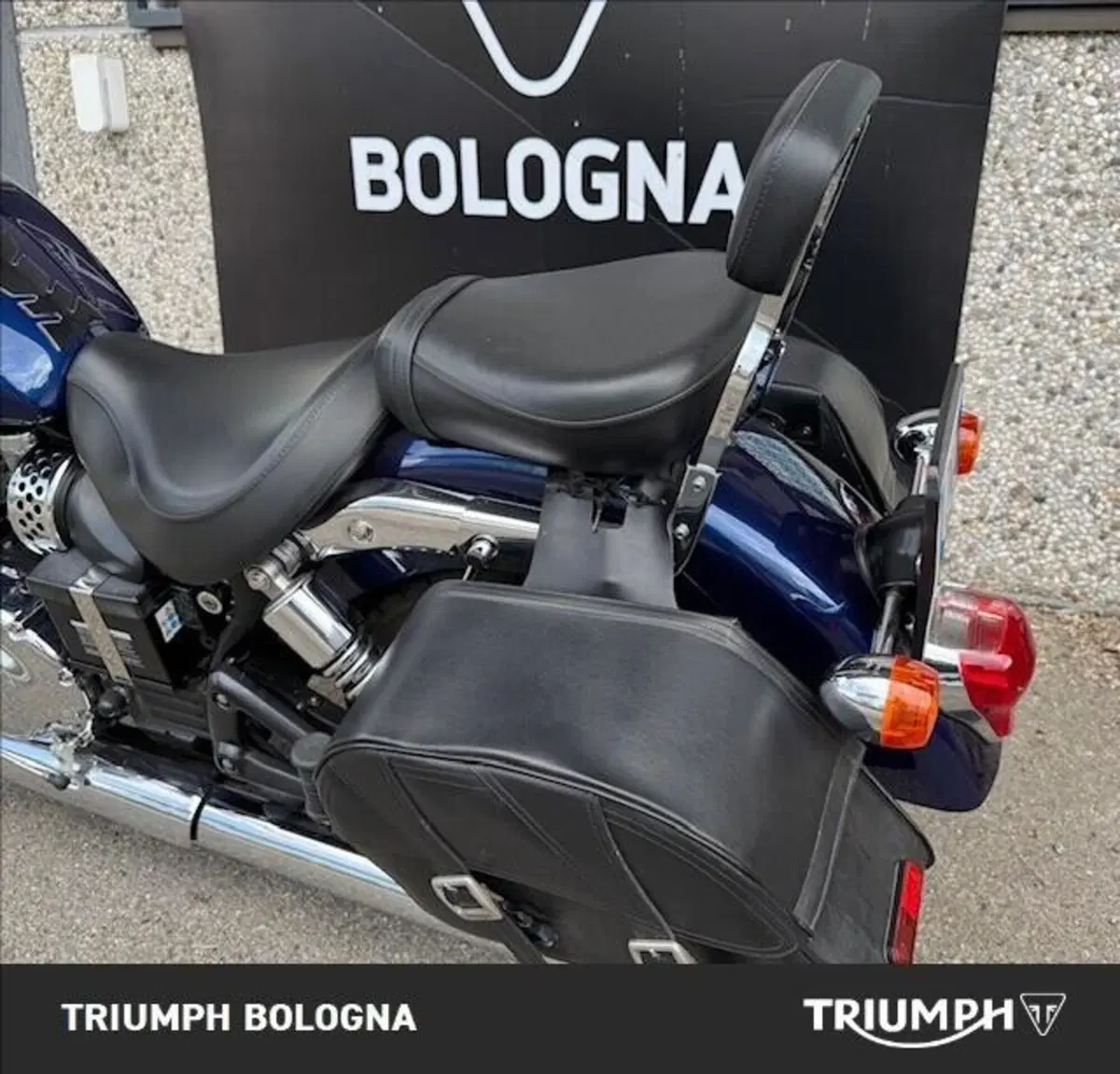 Triumph America (2011 - 16) (9)