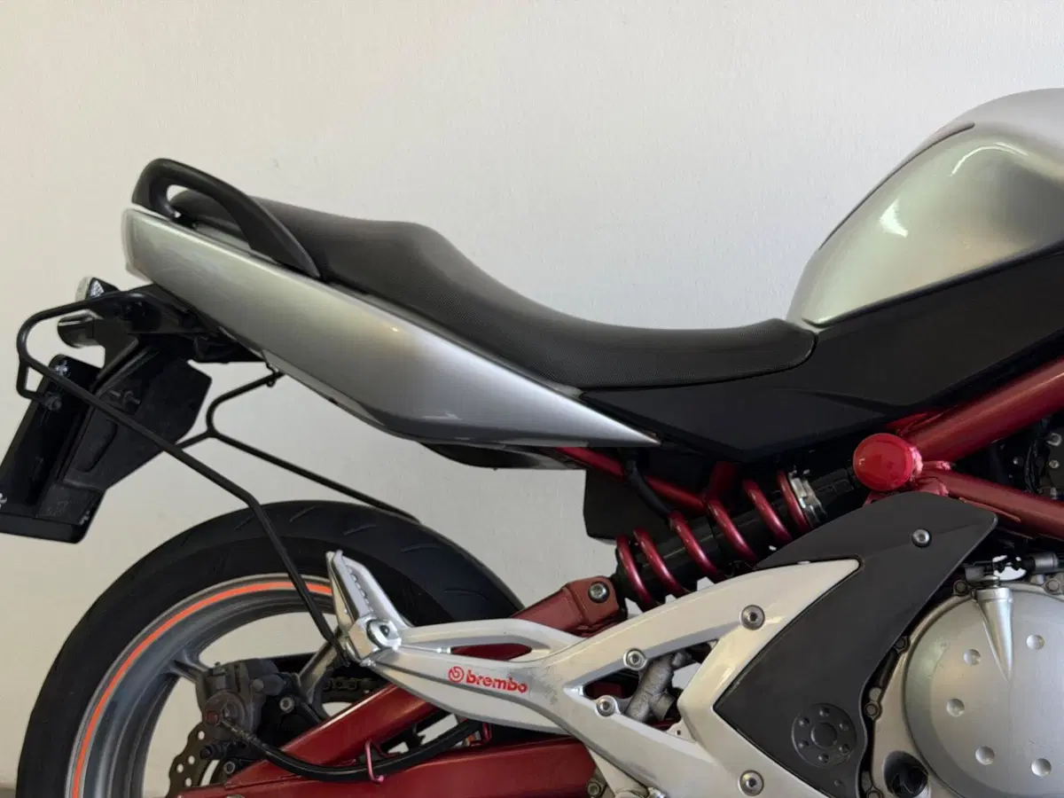 Kawasaki ER-6N (2006 - 09) (4)