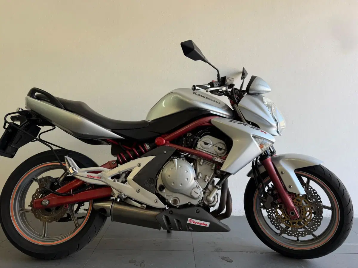 Kawasaki ER-6N (2006 - 09)