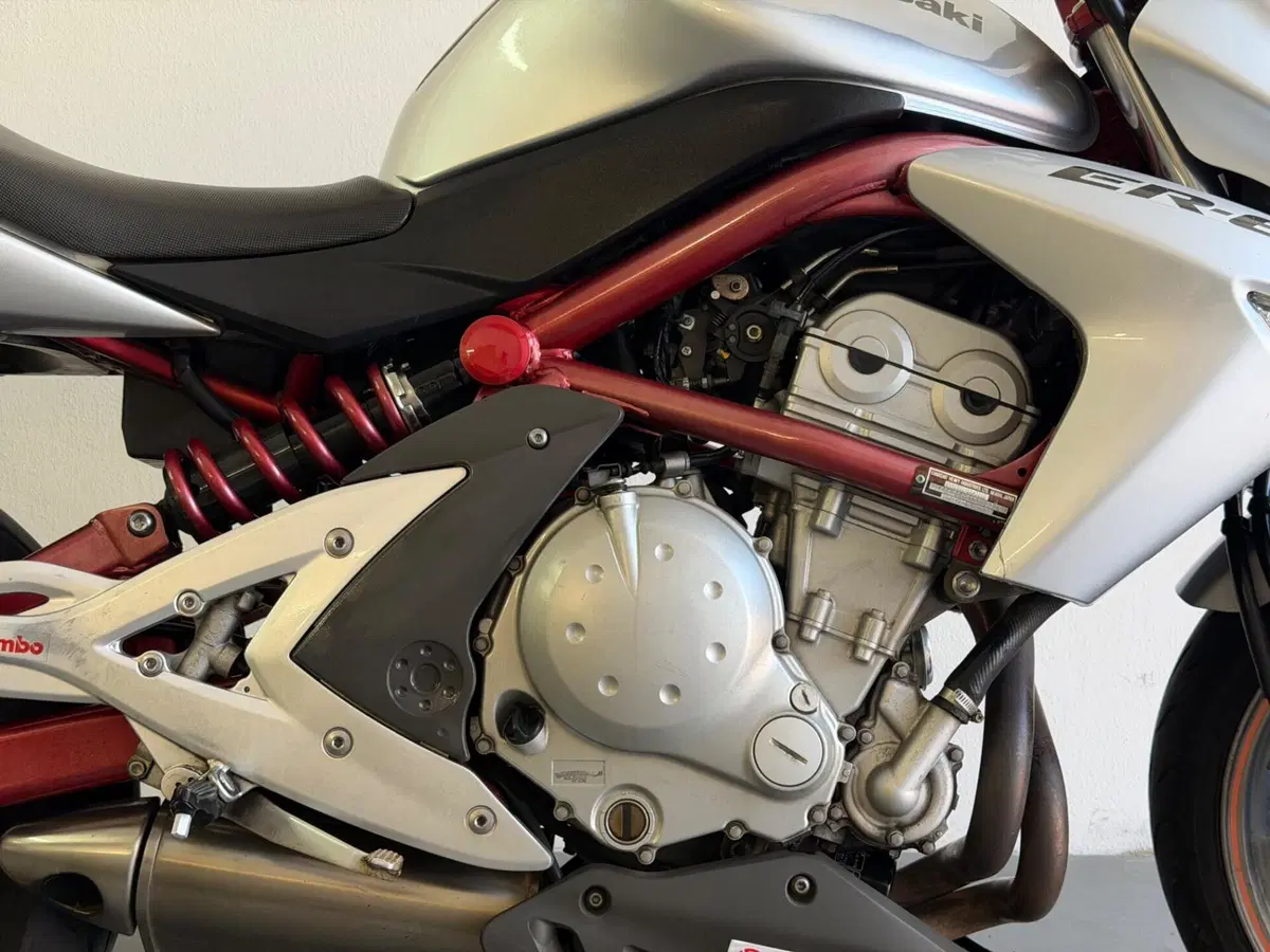 Kawasaki ER-6N (2006 - 09) (5)