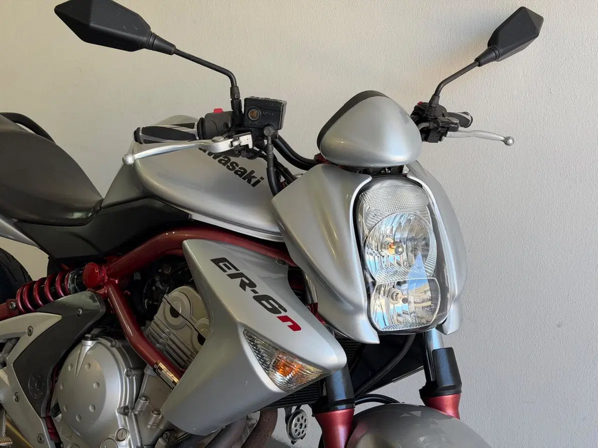 Kawasaki ER-6N (2006 - 09) (2)