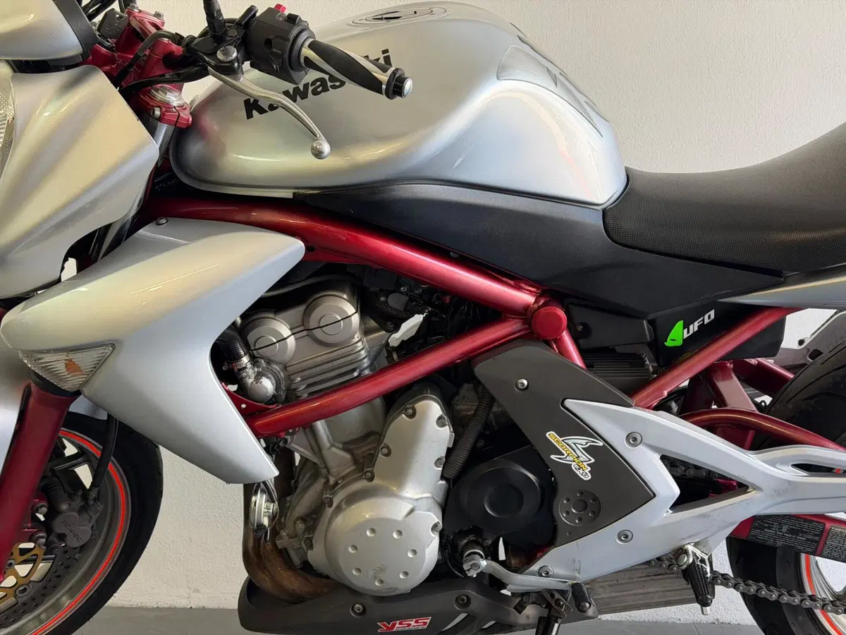 Kawasaki ER-6N (2006 - 09) (8)