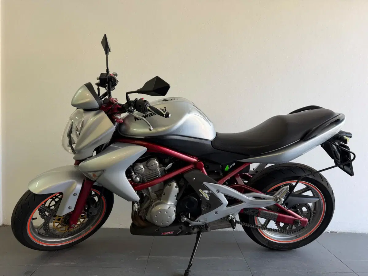 Kawasaki ER-6N (2006 - 09) (9)