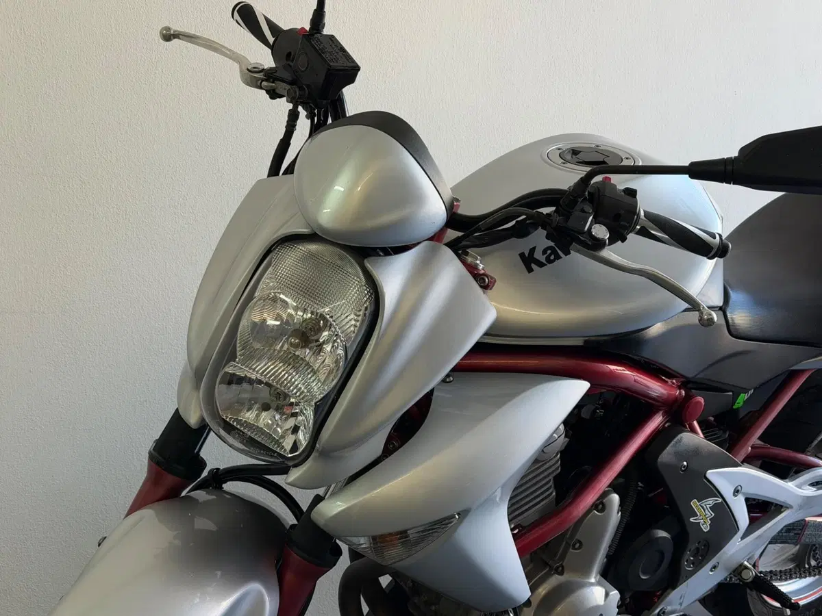 Kawasaki ER-6N (2006 - 09) (11)