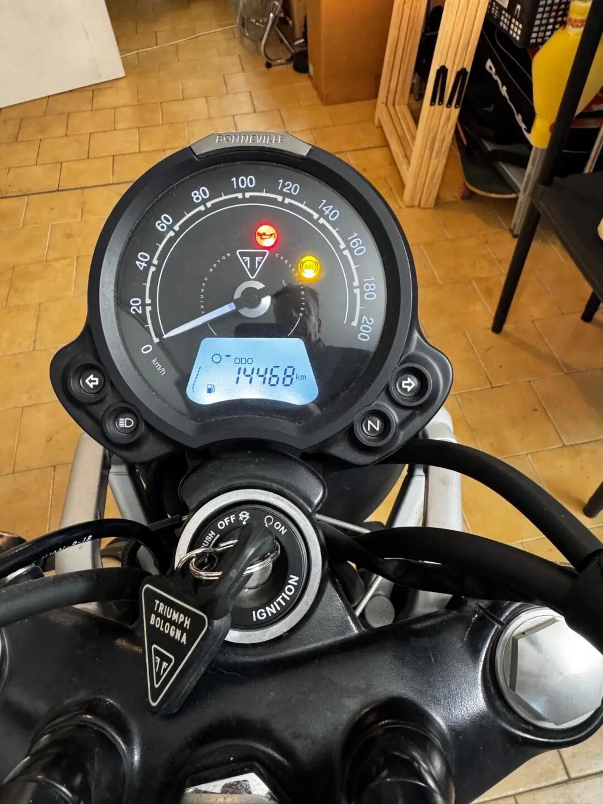 Triumph Street Scrambler 900 (2021 - 22) (6)