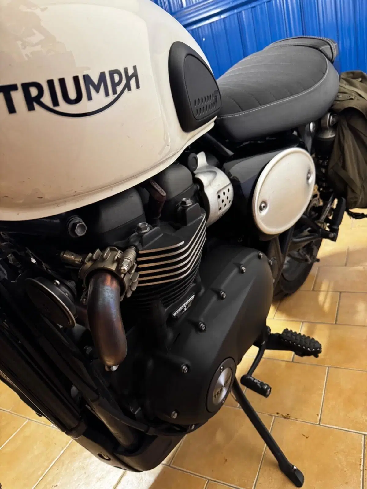 Triumph Street Scrambler 900 (2021 - 22) (7)