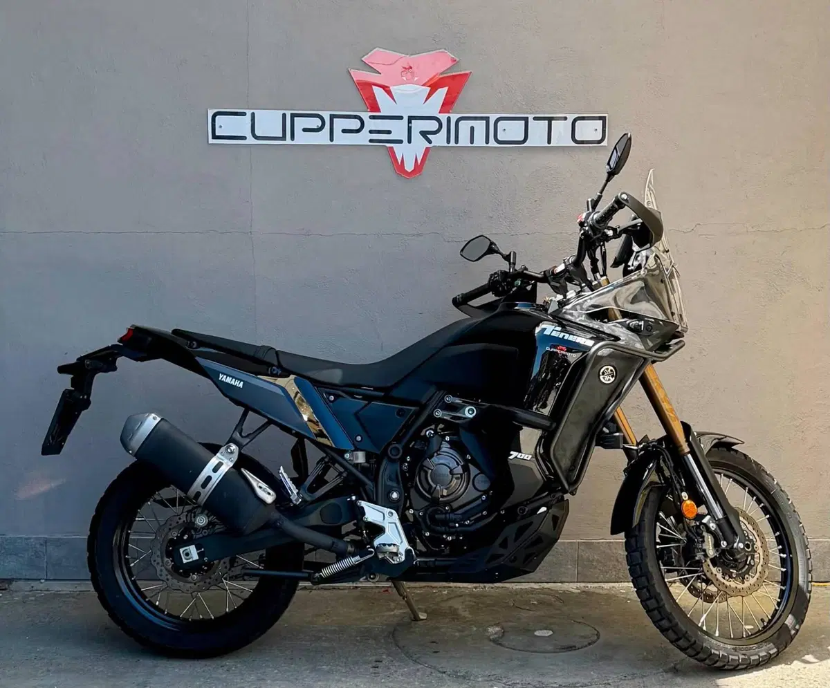 Yamaha Ténéré 700 World Raid (2022 - 25)