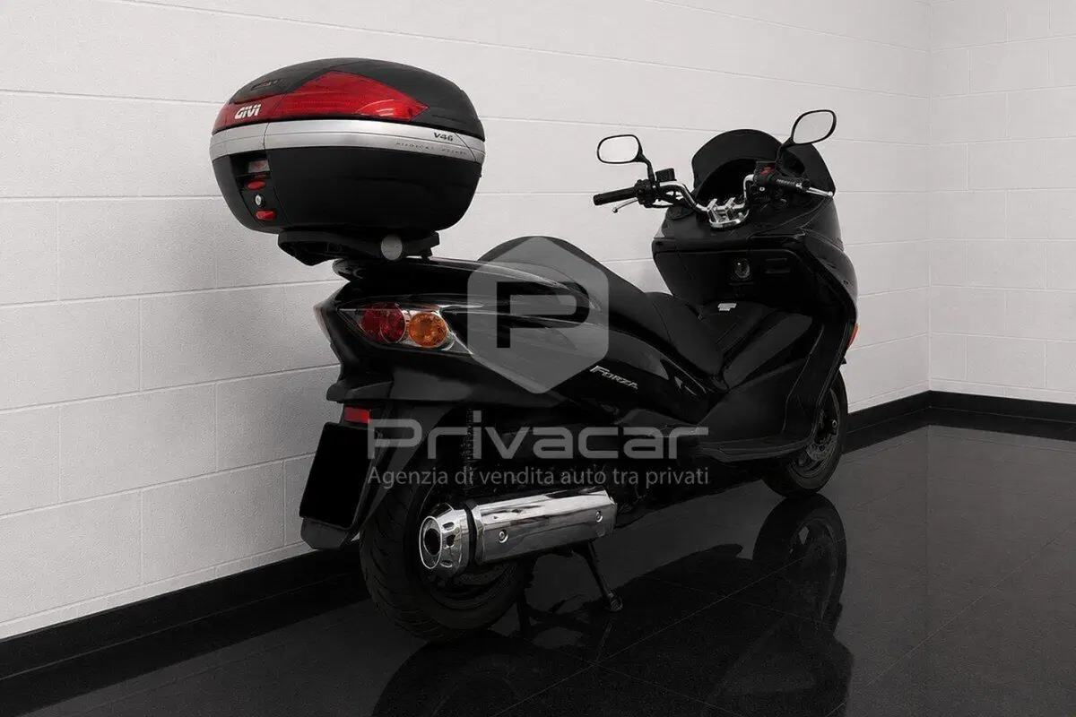 Honda Forza 250 X (2008 - 11) (4)