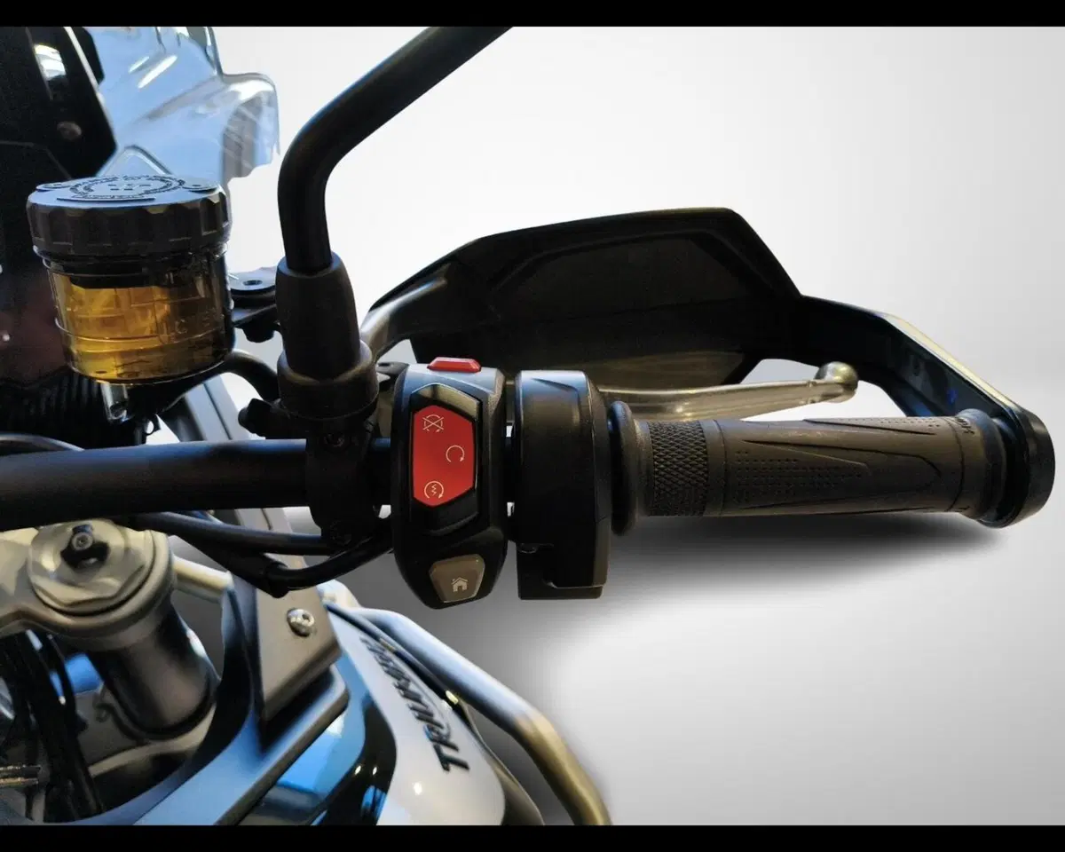 Triumph Tiger 900 GT Pro (2020 - 23) (11)