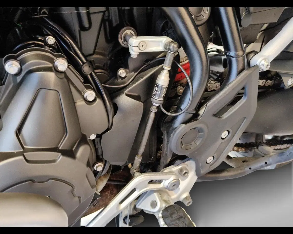 Triumph Tiger 900 GT Pro (2020 - 23) (16)