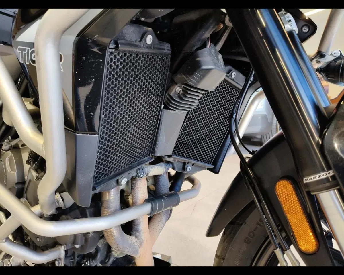 Triumph Tiger 900 GT Pro (2020 - 23) (19)
