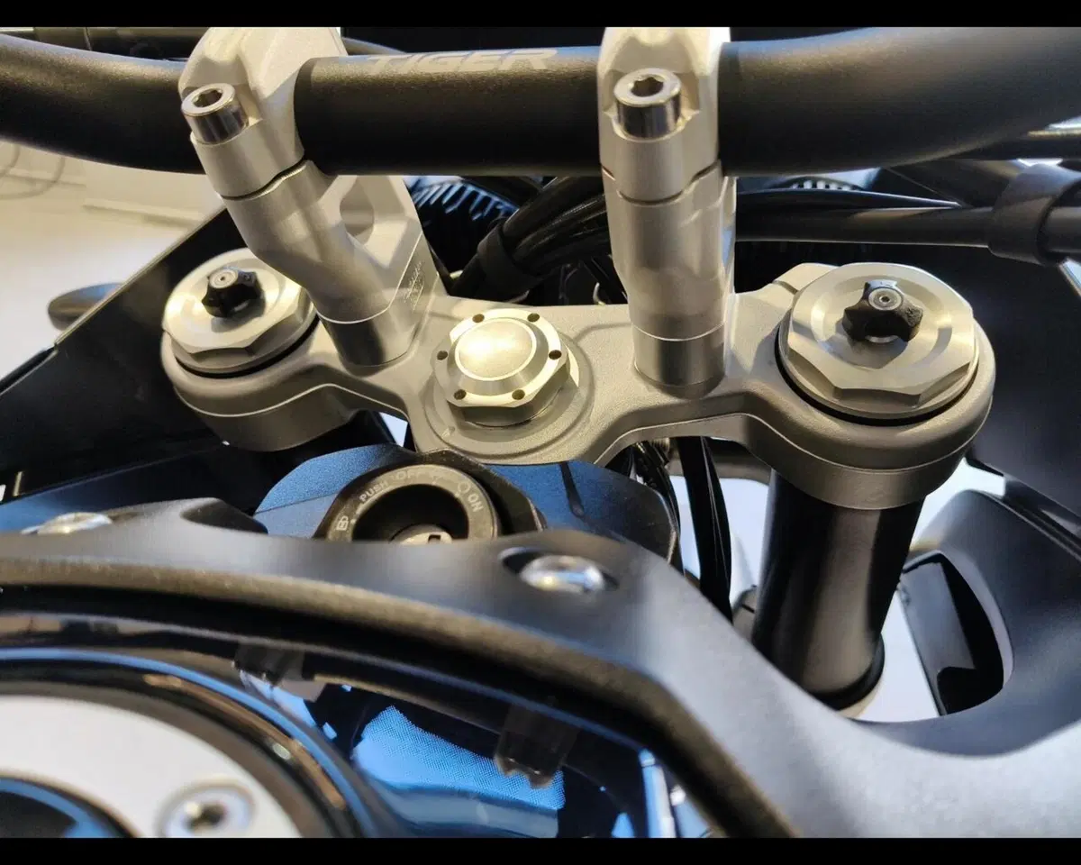 Triumph Tiger 900 GT Pro (2020 - 23) (23)