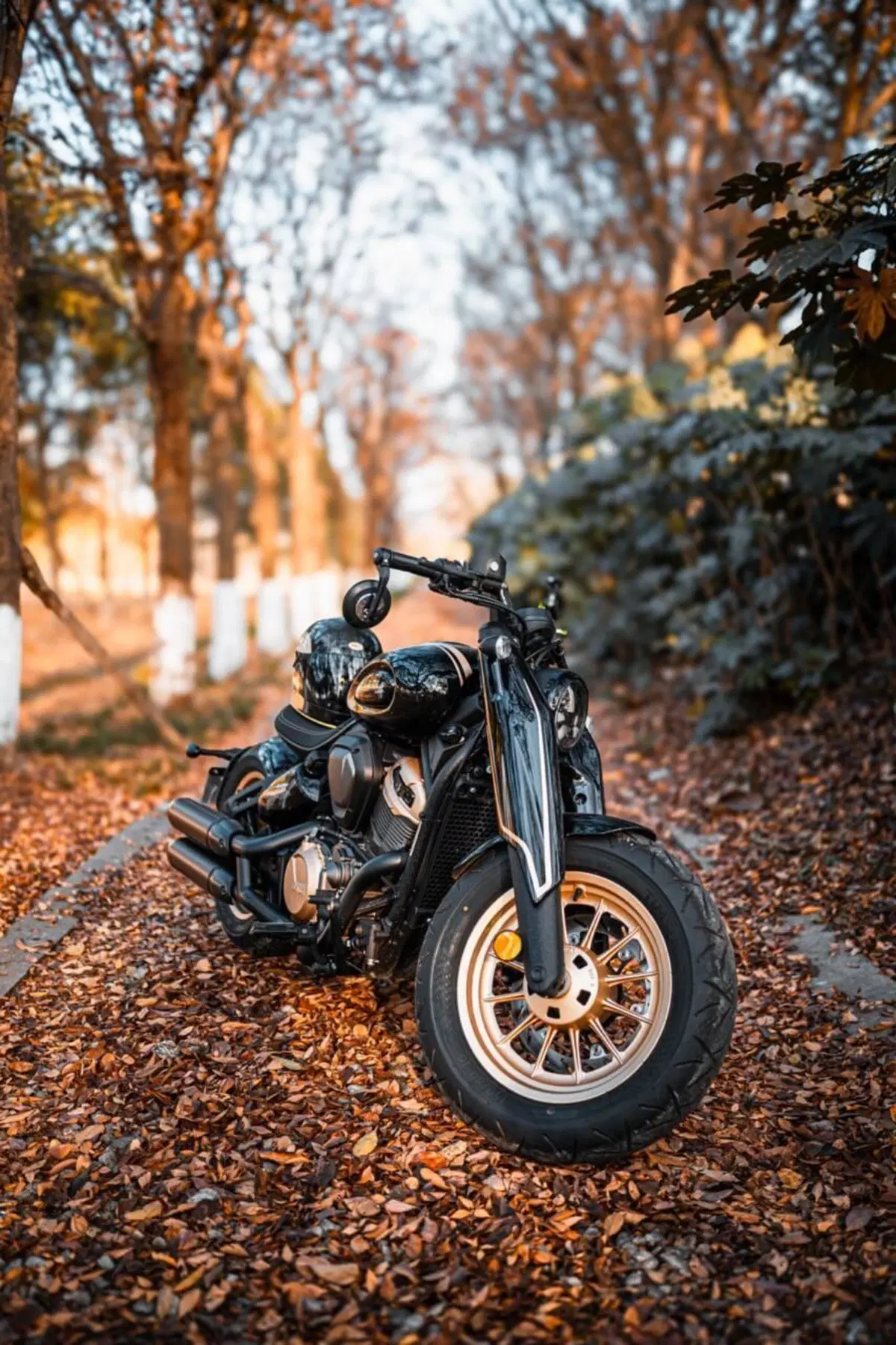 Benda Motorcycles Napoleon Bob 500 (2024 - 26) (3)