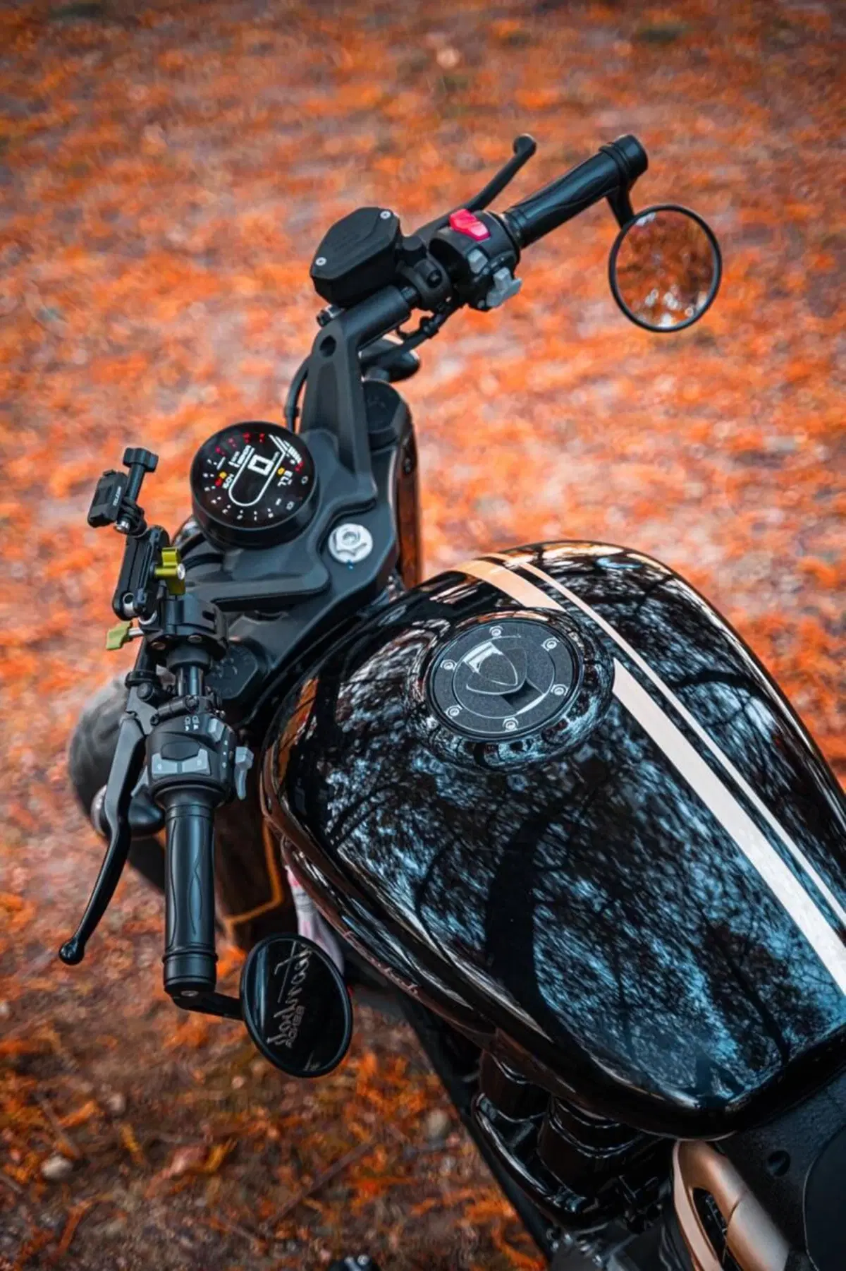 Benda Motorcycles Napoleon Bob 500 (2024 - 26) (4)