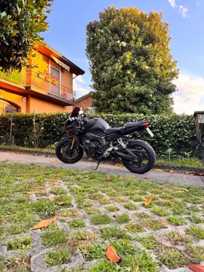 Yamaha FZ1 Fazer (2006 - 16) usata