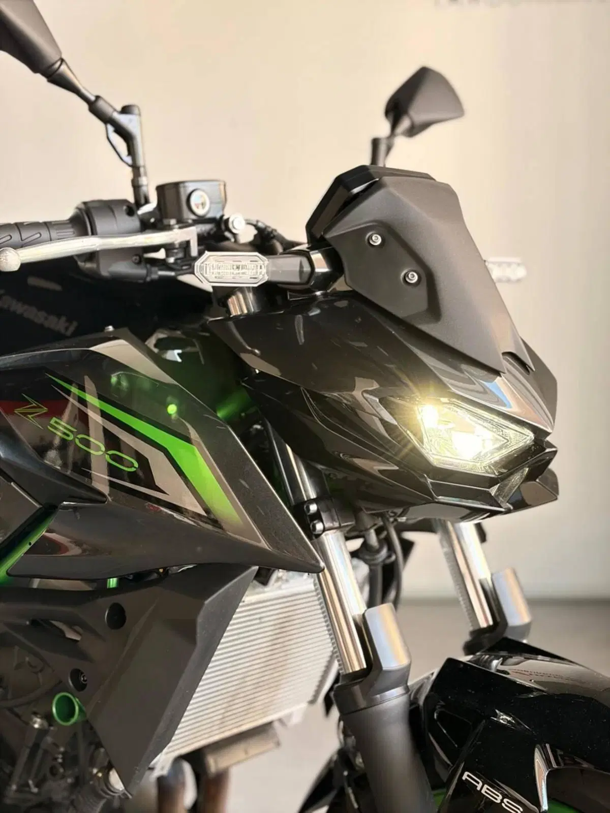 Kawasaki Z 500 SE Sport (2025 - 26) (2)