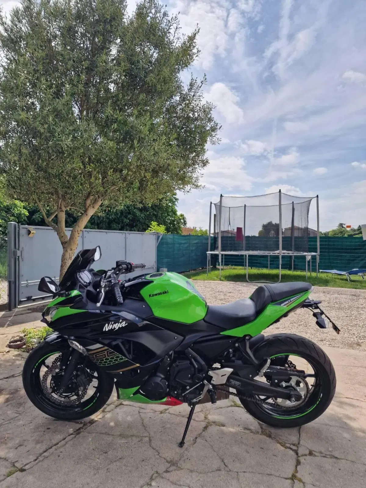 Kawasaki Ninja 650 KRT Edition (2017 - 19) (2)
