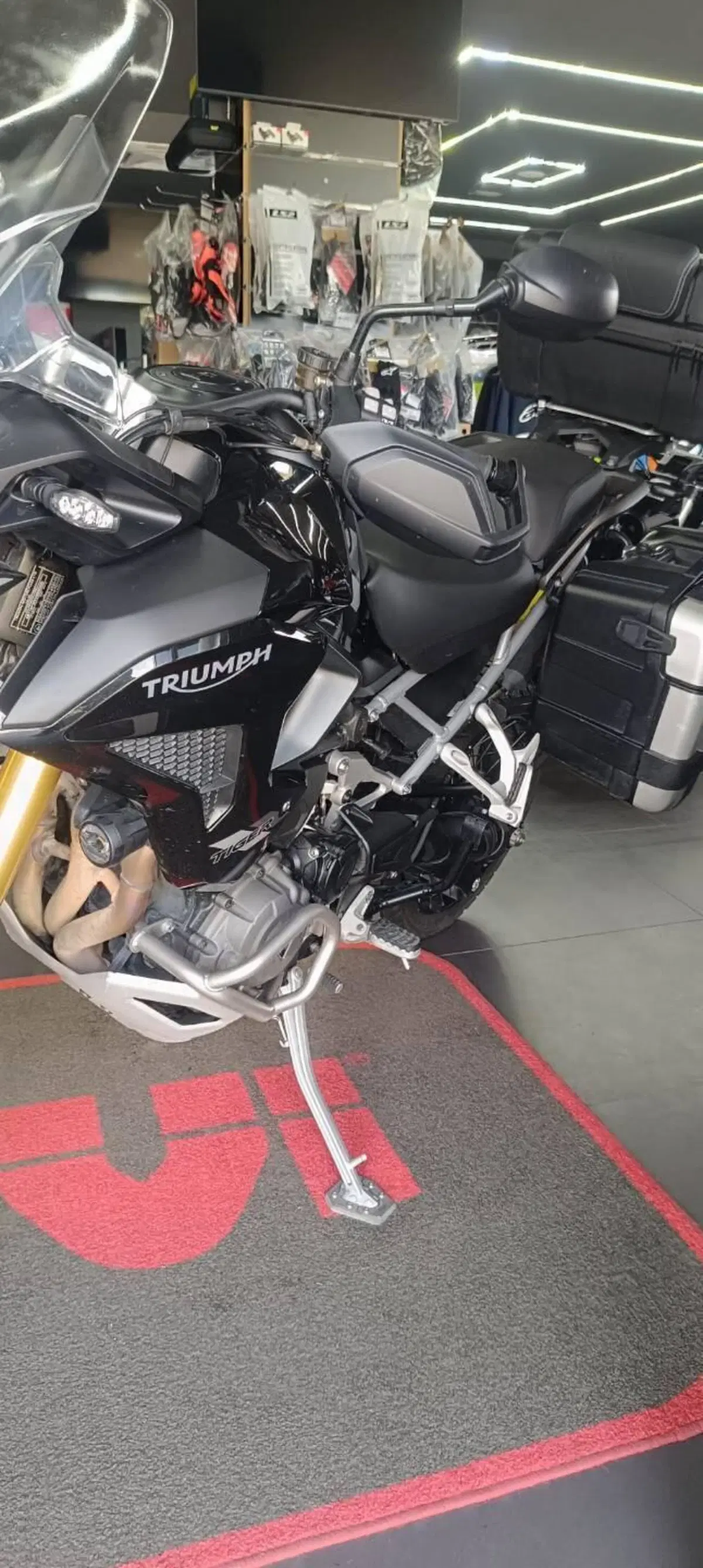 Triumph Tiger 1200 Rally Pro (2022 - 23) (5)